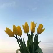 ちりちりの画像