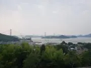 toyomiの画像