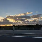 N.