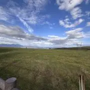 はるおの画像