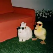 みさき