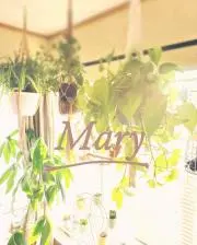 Maryの画像
