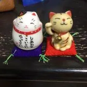かなかなの画像