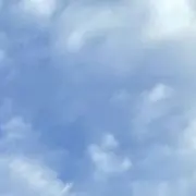 とうしの画像