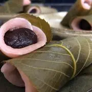ひひの画像