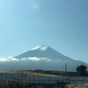 はーにゃん❤︎の画像