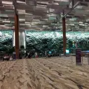 ☆☆ウメコ☆☆