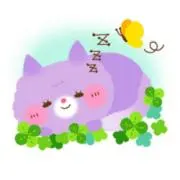 ひろちゃんの画像