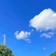 Natsuの画像
