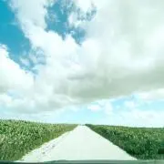 mayuの画像