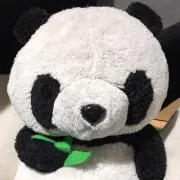 あんぽんの画像