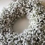 ☆ヴェール☆の画像