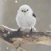 さゆりん☆