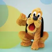 ⭐️Ｒ⭐️の画像