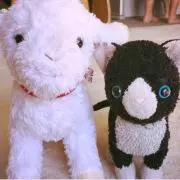 ともたろす