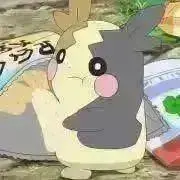 ペコの画像