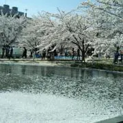 it_feの画像