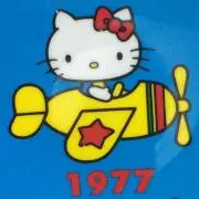Yuccaの画像