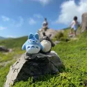 m_ogawa0825の画像
