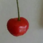 ☆☆☆