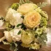 Anne☆の画像
