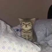 あ