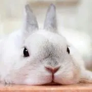 みきちゃんまん