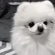 もこの画像