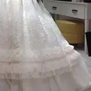 パンダの画像
