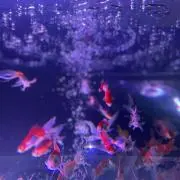 Rの画像