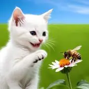 あっきーの画像