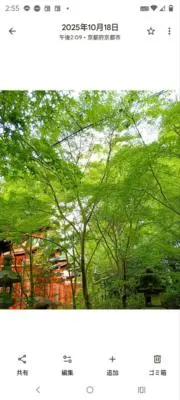 りんの画像