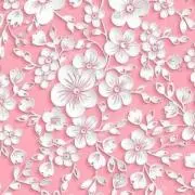 さくちゃん