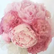 はな
