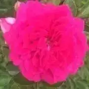 みっこ　断捨離中の画像