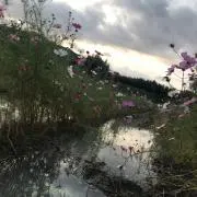 やま