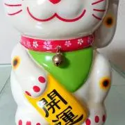 はなちゃんの画像