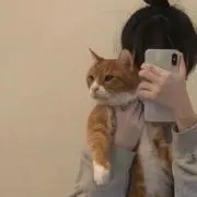 かもめの画像