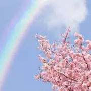 ✿SAKURAサラン✿の画像