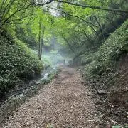 彩梨~オーダープロフ必読☆彡の画像