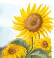 mimiの画像