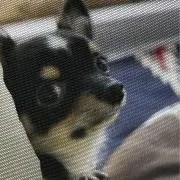 TKPの画像