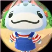 もめんとうふ