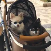 さとさと