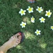 あぁの画像