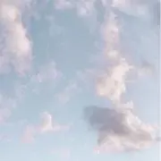 rey プロフィール必読の画像