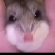 なおきの画像