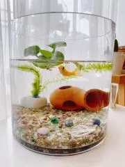 ar @良識範囲のお値下げ相談可♪の画像
