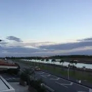 みみみの画像