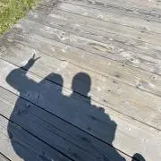 cro_wの画像